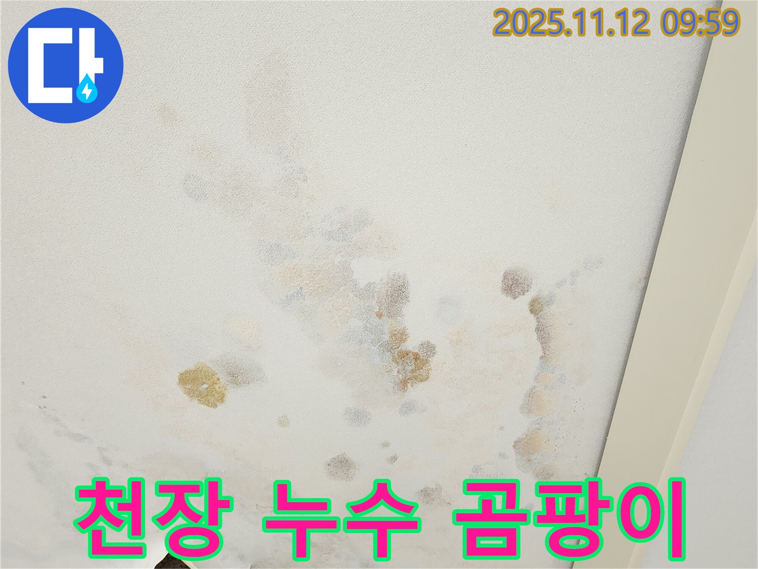 포천 소흘읍 무봉리 누수 현장 - 심각한 천장 누수 자국과 곰팡이