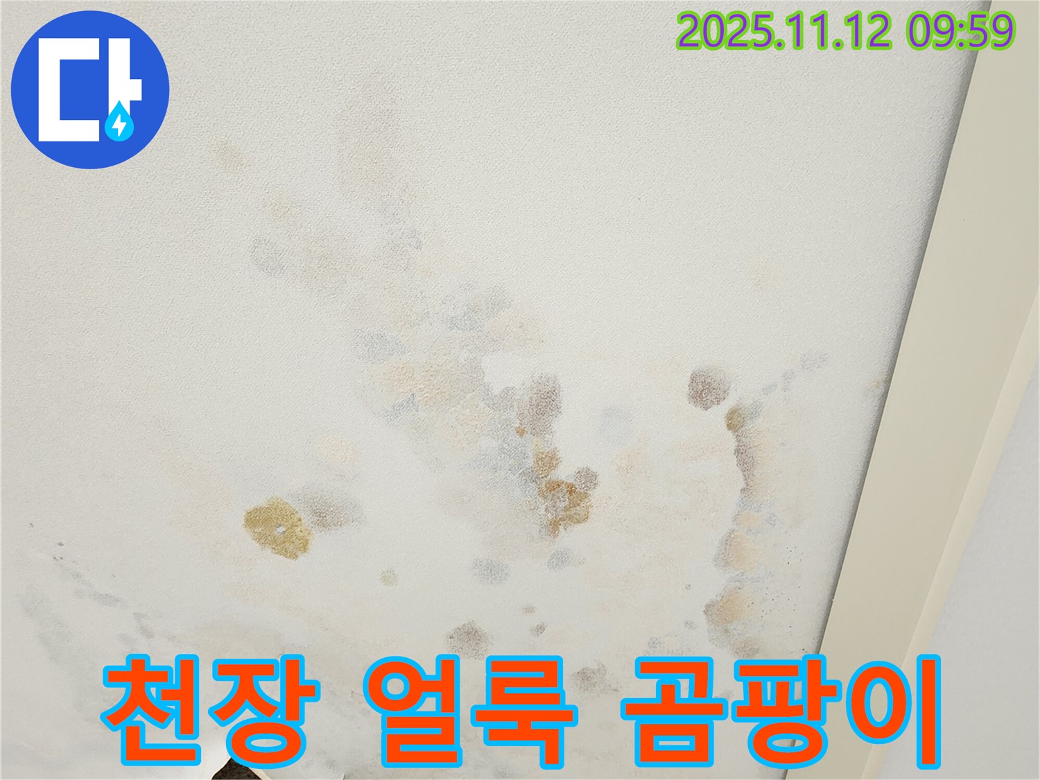 포천 소흘읍 무봉리 누수 현장 - 천장 얼룩과 곰팡이