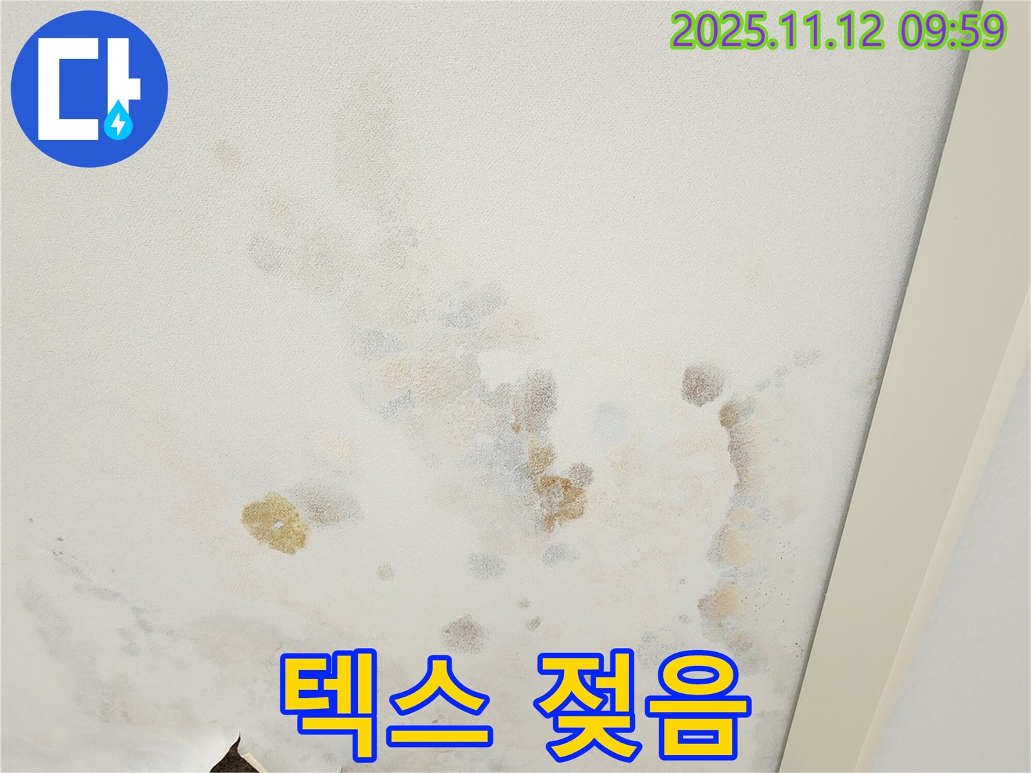 포천 소흘읍 무봉리 누수 현장 - 천장 얼룩과 텍스 젖음