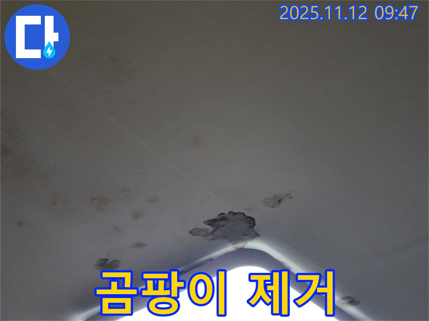 포천 소흘읍 - 천장 조명 누수, 석고보드 교체 및 곰팡이 제거