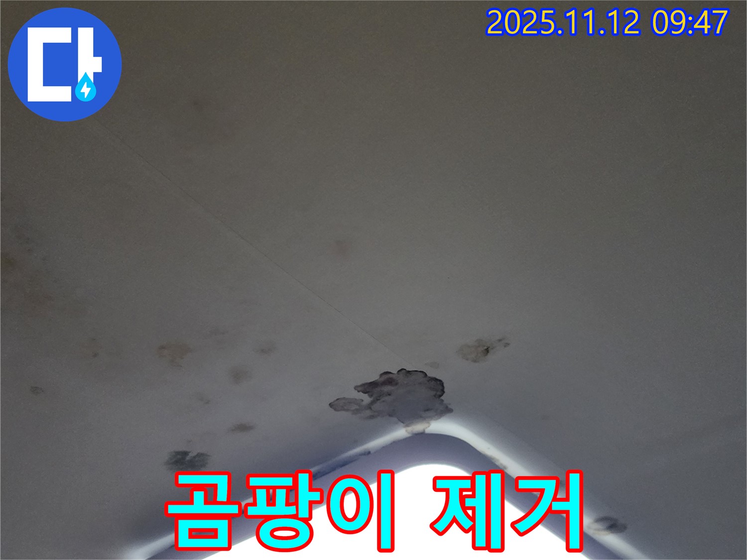 포천 소흘읍 - 천장 조명 누수, 석고보드 교체 및 곰팡이 제거