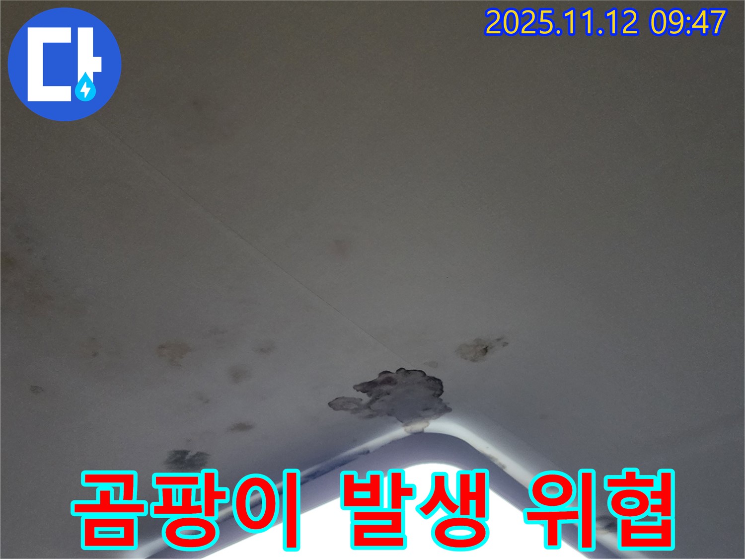포천 소흘읍 - 천장 조명 주변 곰팡이 발생, 건강 위협