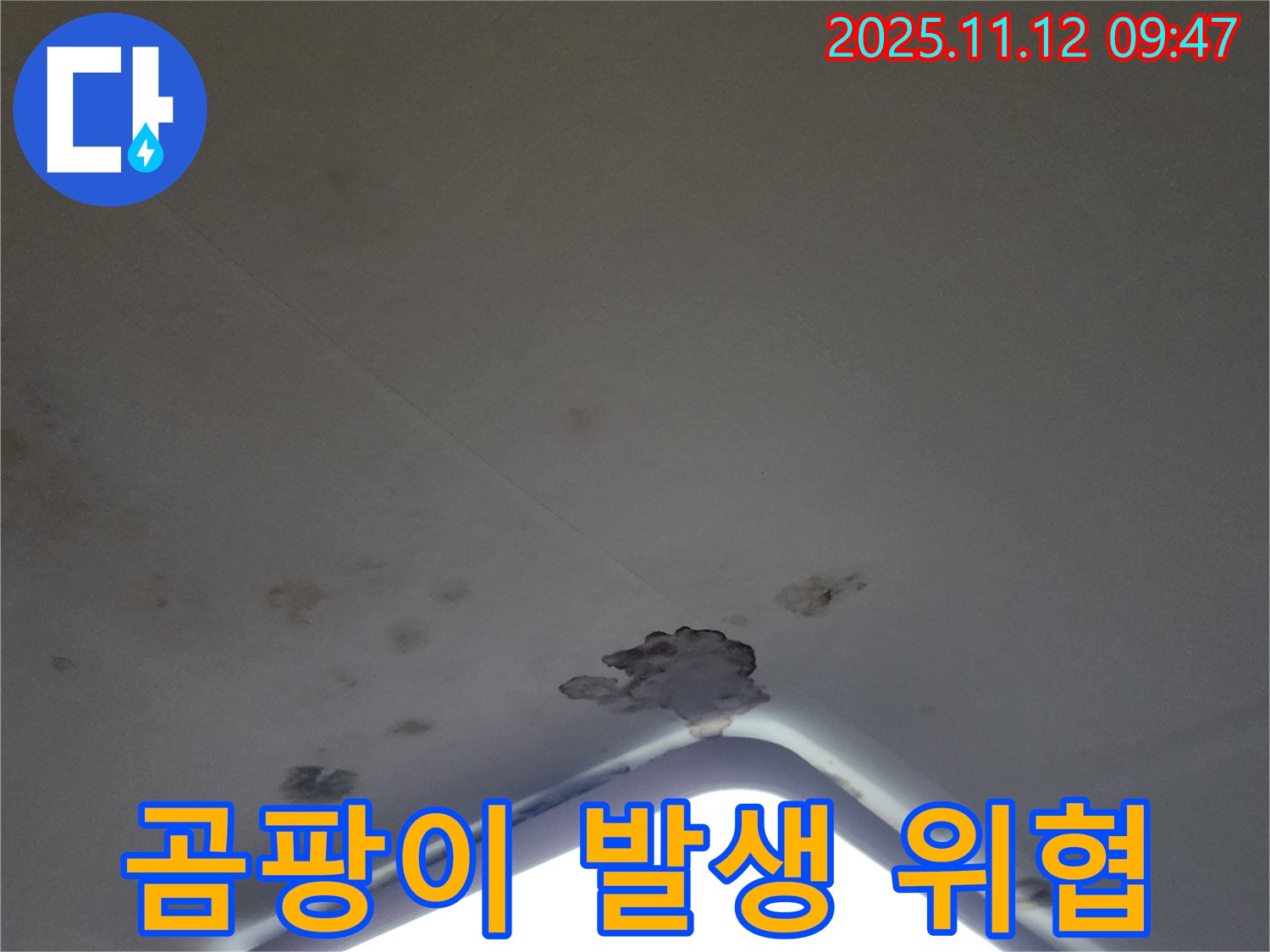 포천 소흘읍 - 천장 조명 주변 곰팡이 발생, 건강 위협