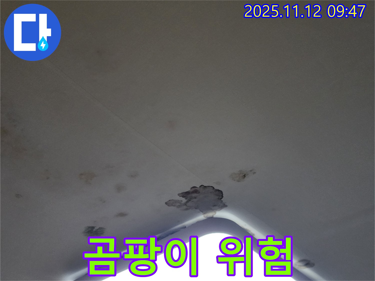 포천 소흘읍 - 천장 조명 주변 석고보드 젖음 - 곰팡이 발생