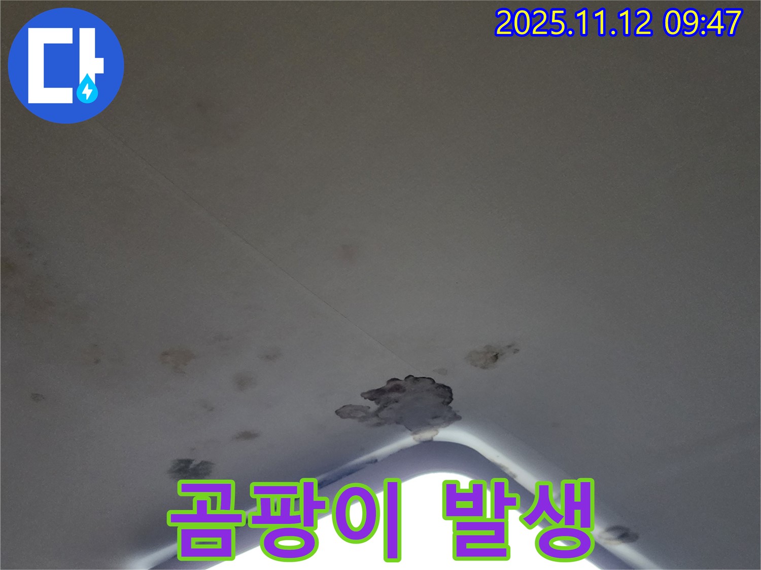 포천 소흘읍 - 천장 조명 주변 석고보드 젖음 - 곰팡이 발생 가능성