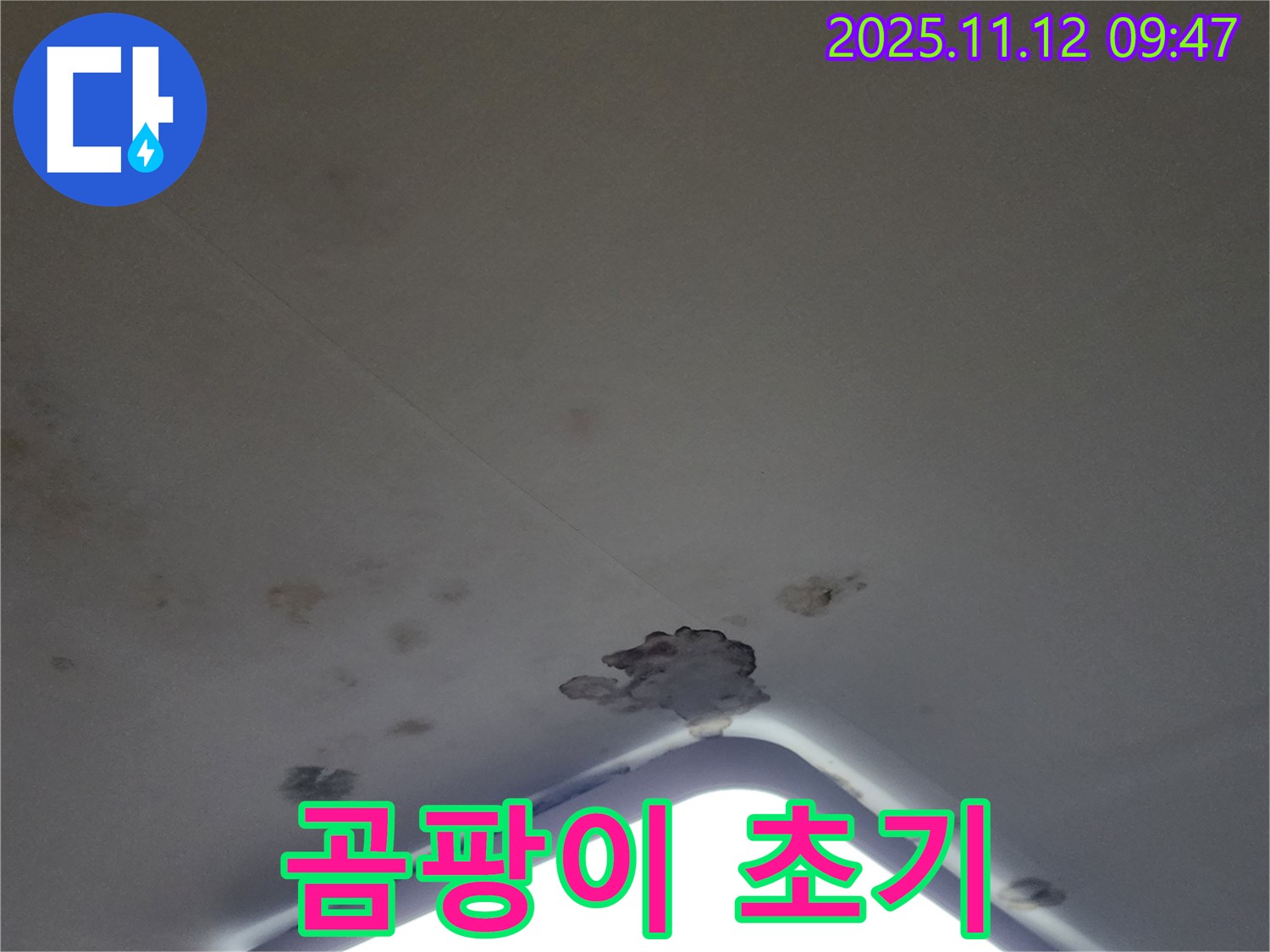 포천 소흘읍 - 천장 조명 주변 석고보드 젖음 - 곰팡이 초기