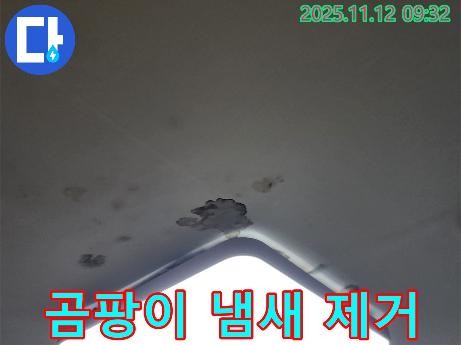 포천 천장 누수 - 곰팡이 냄새, 알레르기 유발, 쾌적한 환경