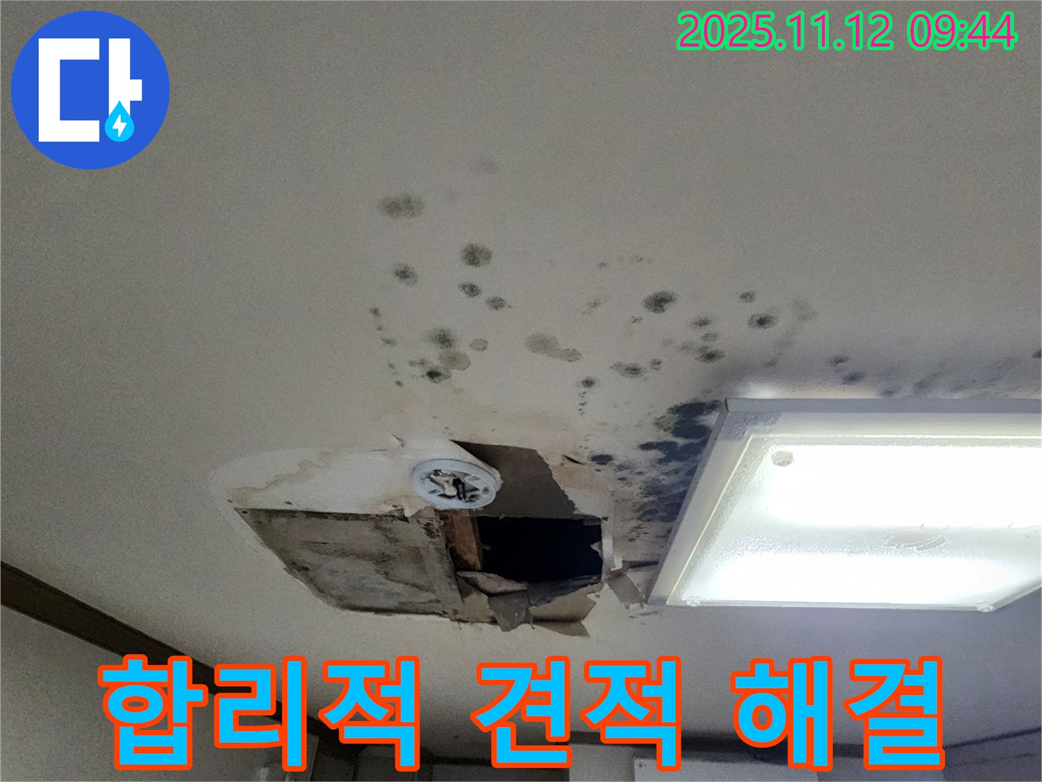 합리적 견적 - 곰팡이 제거 - 확실 시공 - 투명 견적 제공