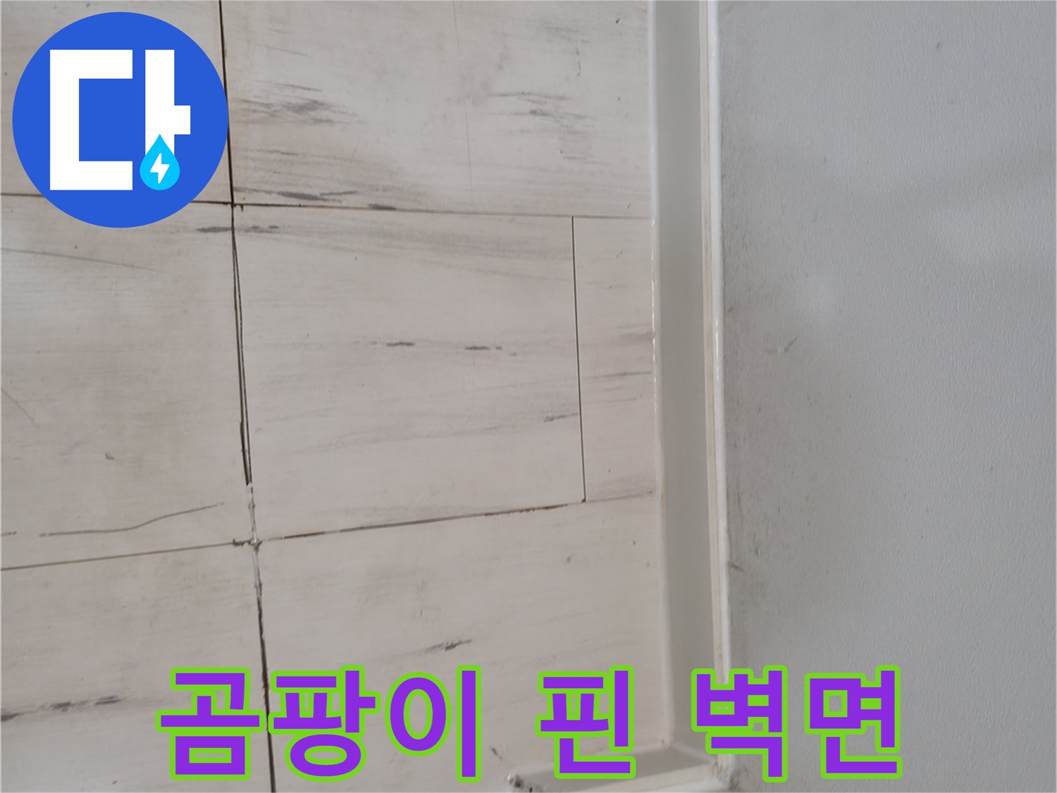 곰팡이 핀 벽면 - 누수 긴급 점검