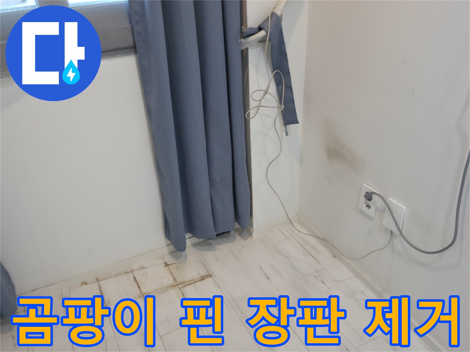 관악구 누수 - 곰팡이 핀 장판 문제 해결 - 누수 공사로 완벽 해결