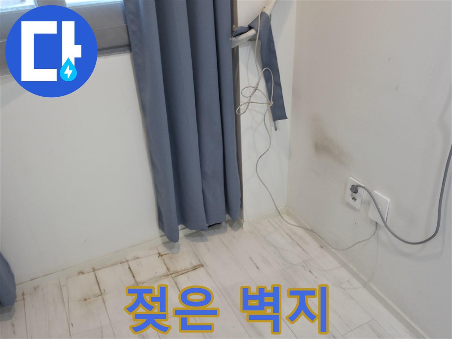 관악구 누수 - 젖은 벽지 문제 - 누수 해결 위한 전문 기술