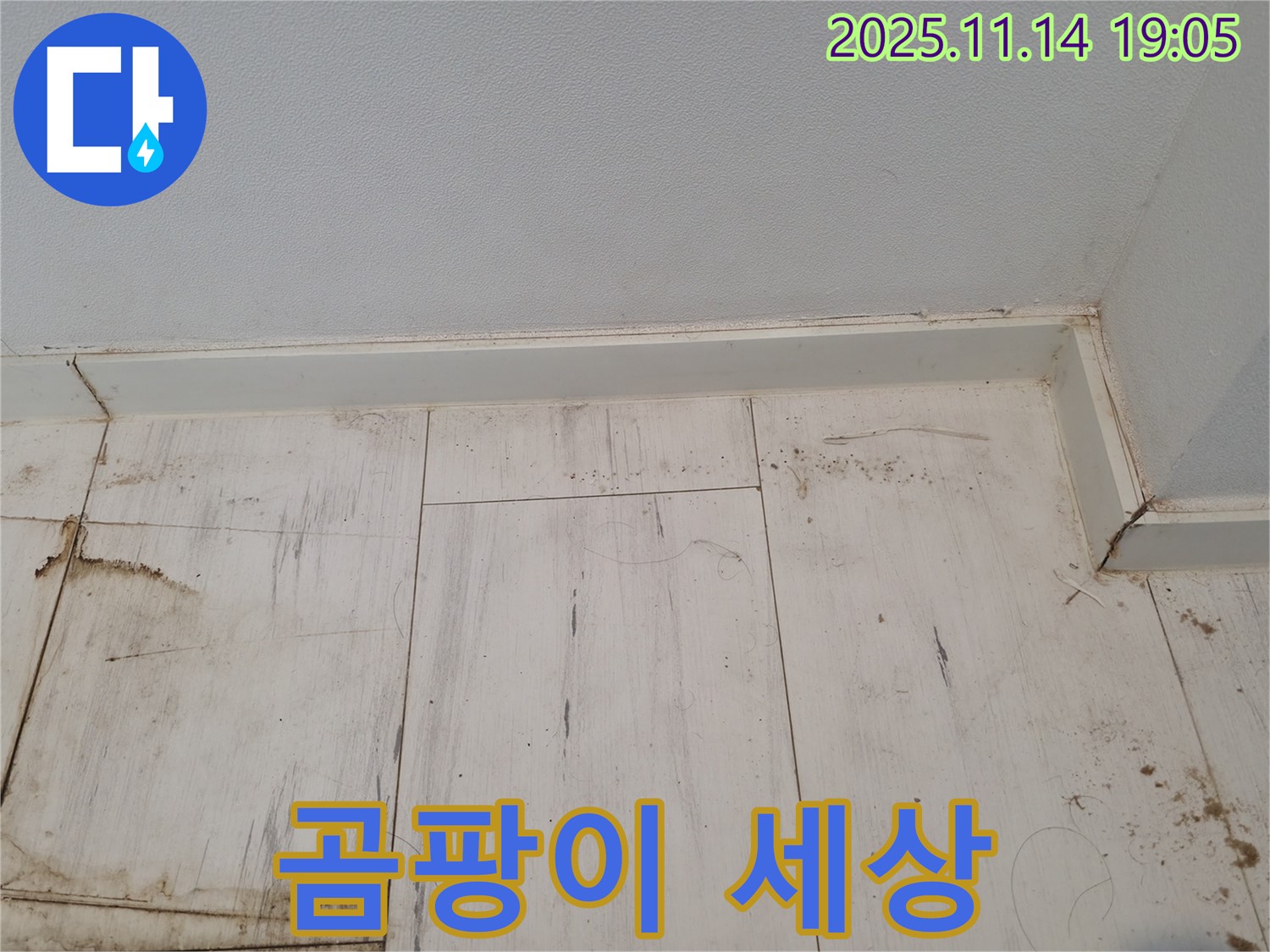 관악구 누수 - 젖은 장판, 곰팡이의 세상!