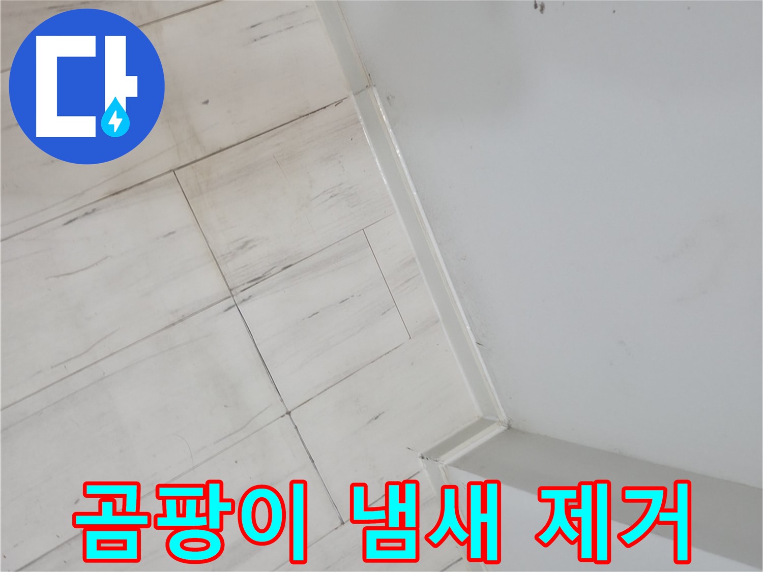 관악구 마루 곰팡이 냄새 누수 정밀 진단