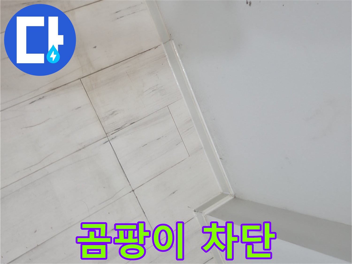 관악구 마루 곰팡이 누수 - 건물 가치 향상 및 쾌적한 환경 조성