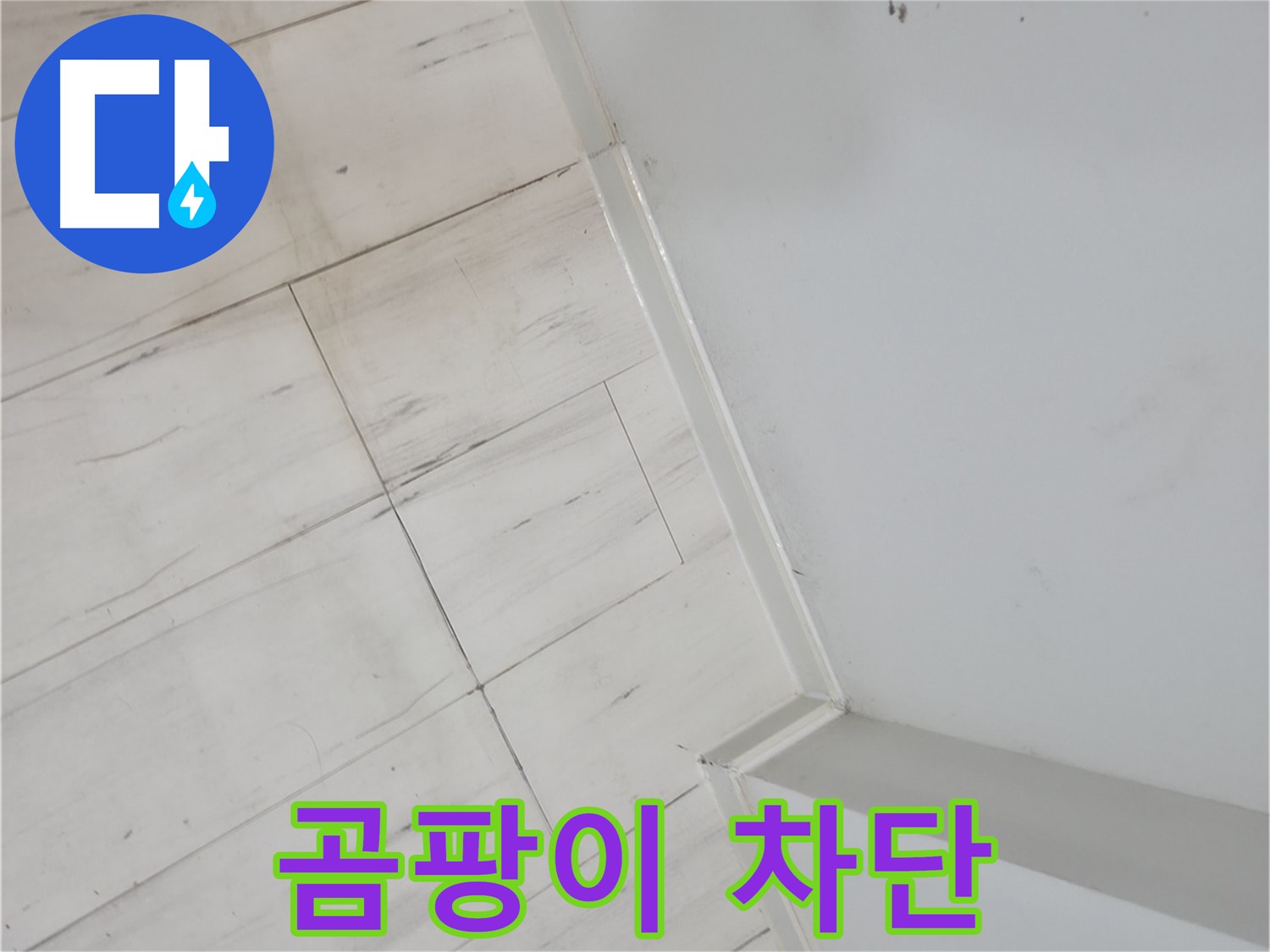 관악구 마루 곰팡이 누수 차단 시공
