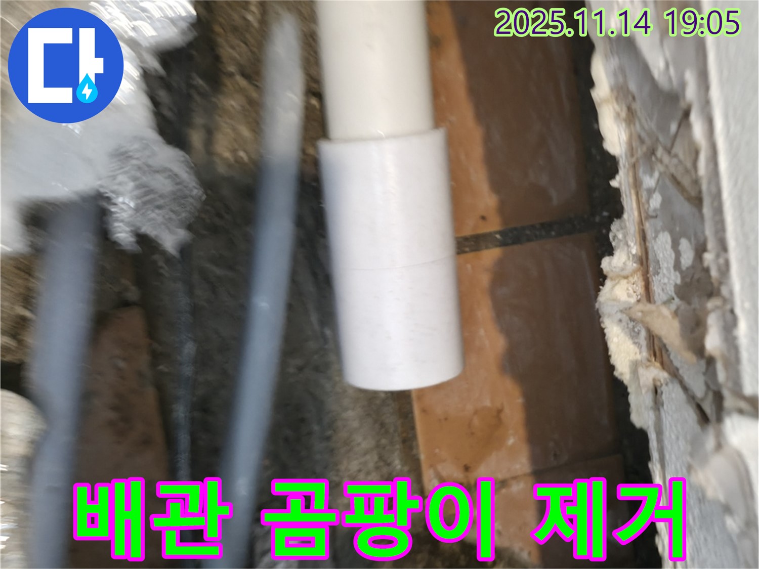 배관 연결 부위 - 곰팡이 제거 작업 진행