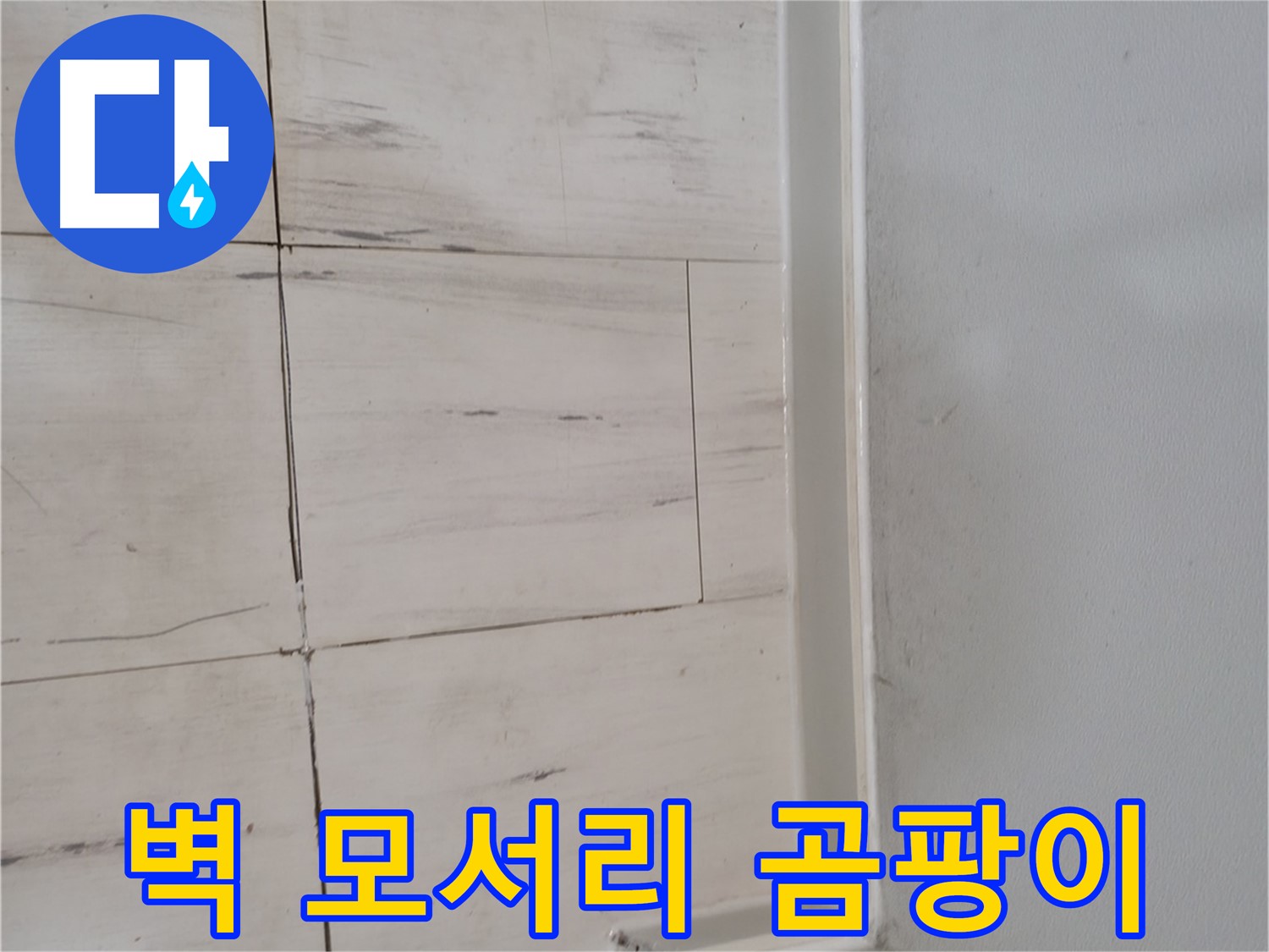 벽 모서리 곰팡이 - 누수 신호