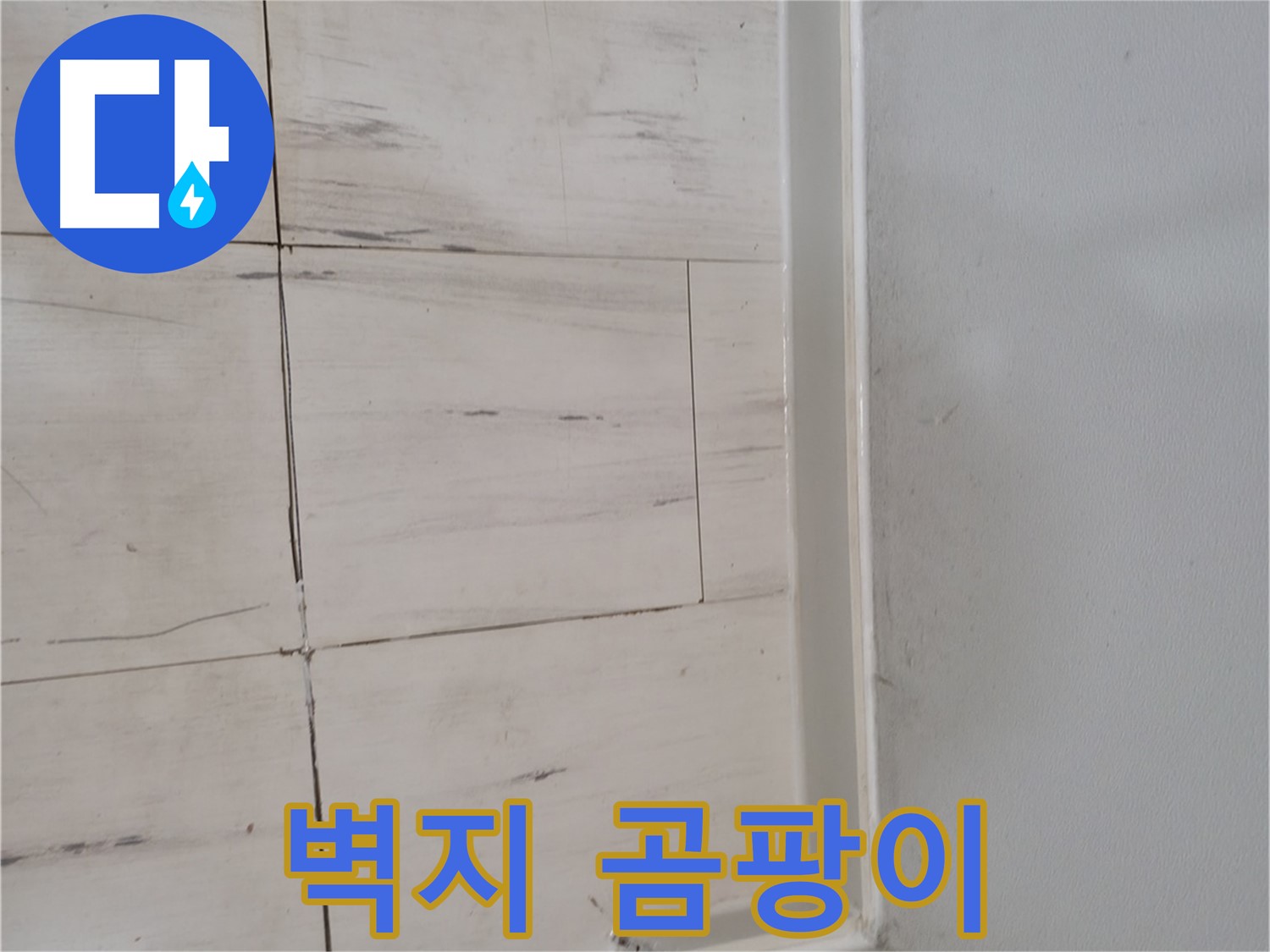 벽지 곰팡이 - 누수 경고