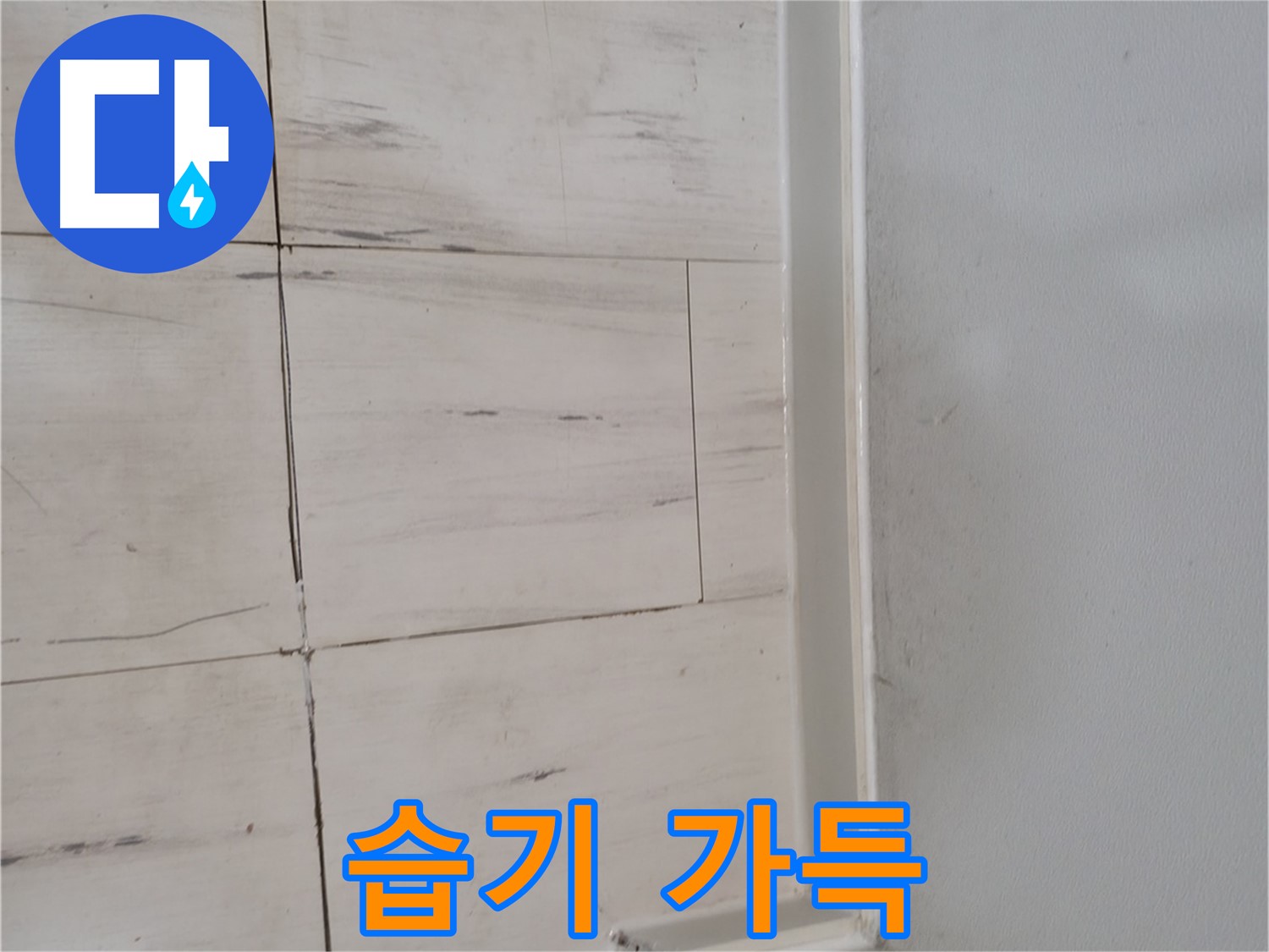 습기 가득 - 눅눅한 환경