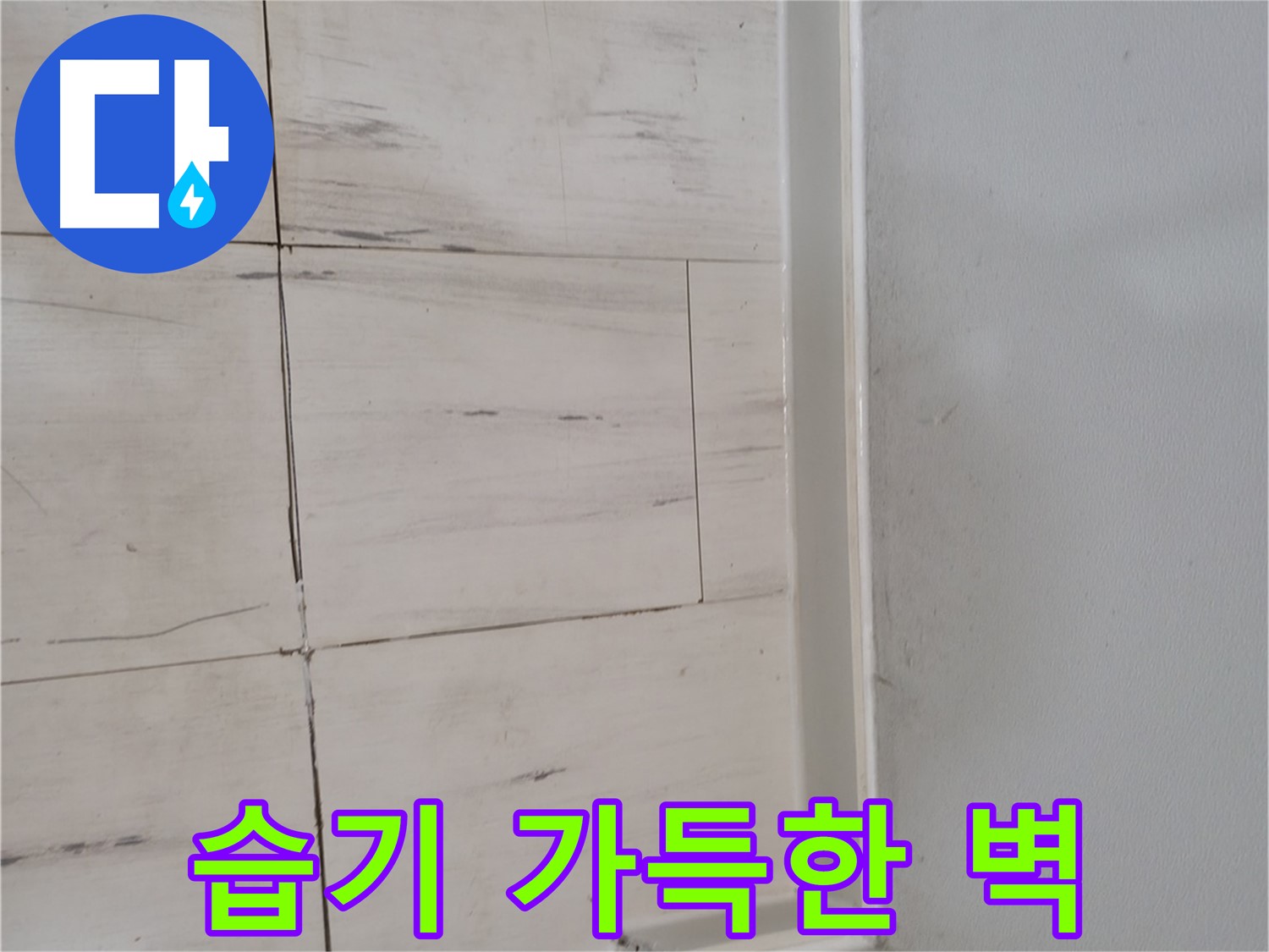 습기 가득 - 눅눅함