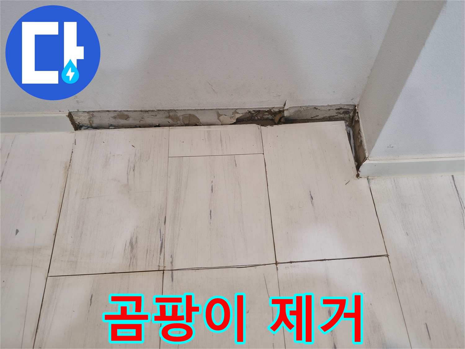 신림동 관악구 누수 - 벽면 곰팡이 제거 작업 - 깨끗하게 청소