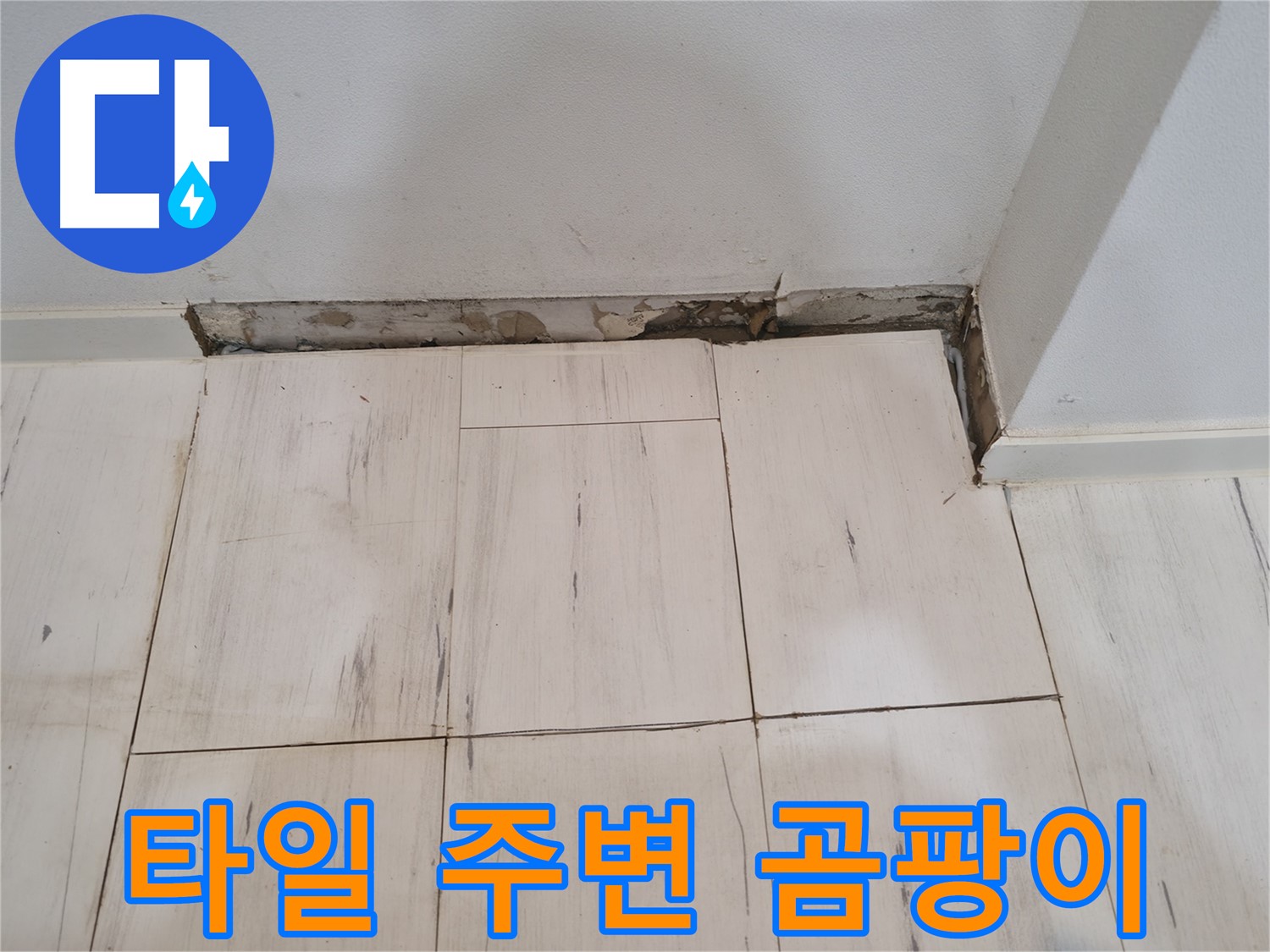 신림동 관악구 누수 - 타일 주변 곰팡이 - 습기 문제