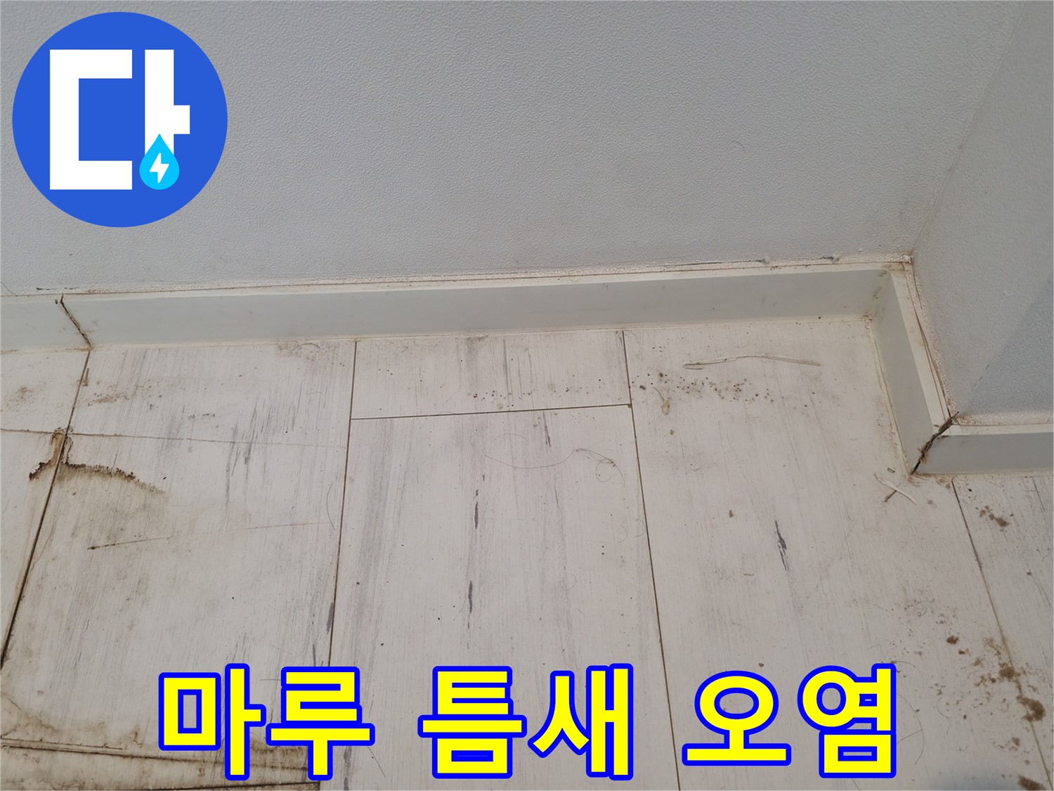 신림동 누수 - 마루 틈새 오염 - 누수 가능성 의심