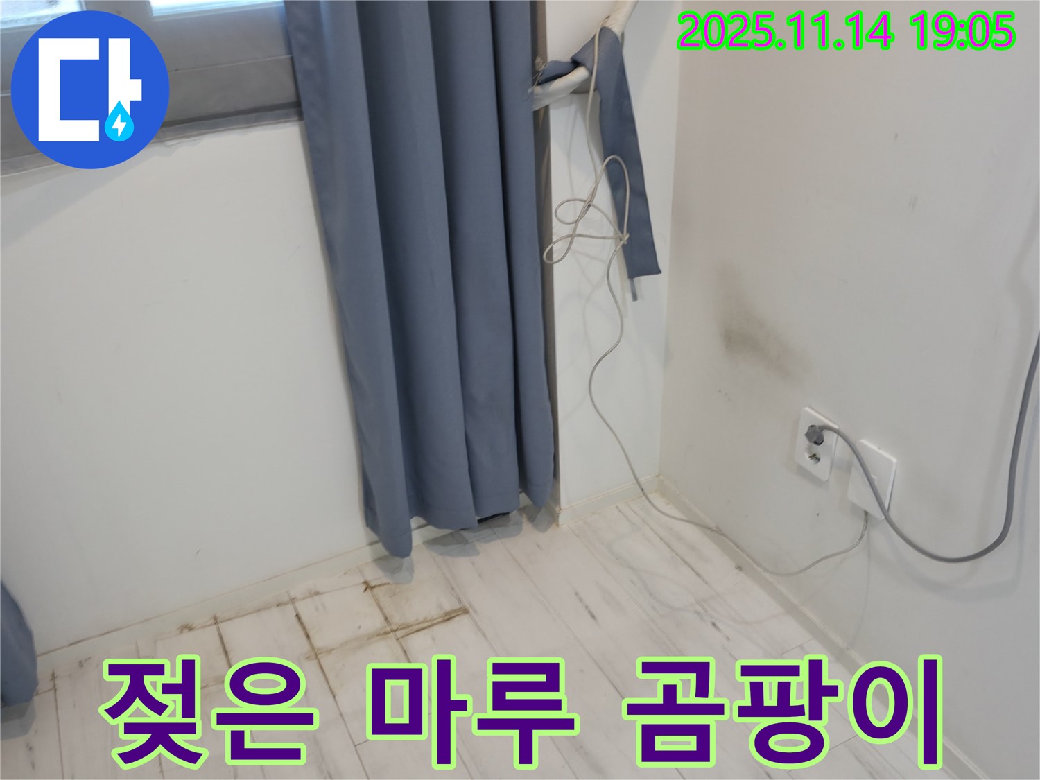 신림동 누수 - 젖은 마루와 곰팡이 냄새 - 누수 초기 진단