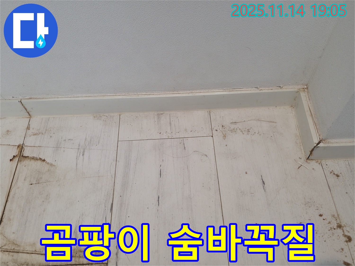 신림동 누수 - 젖은 장판, 곰팡이와의 숨바꼭질