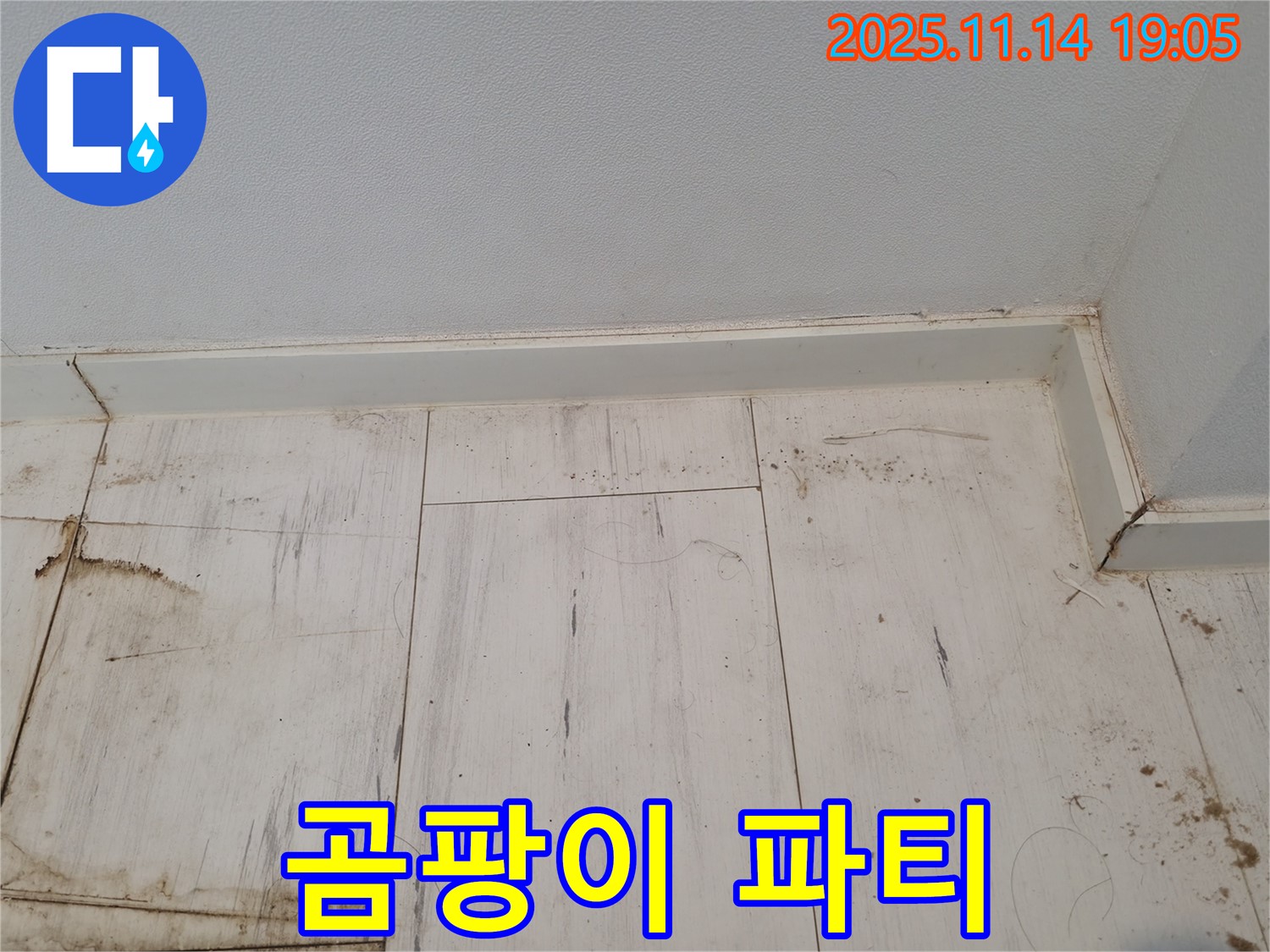 신림동 누수 - 젖은 장판, 곰팡이의 댄스파티!