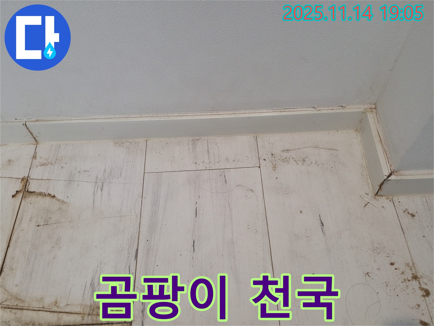 신림동 누수 - 젖은 장판, 곰팡이의 천국!