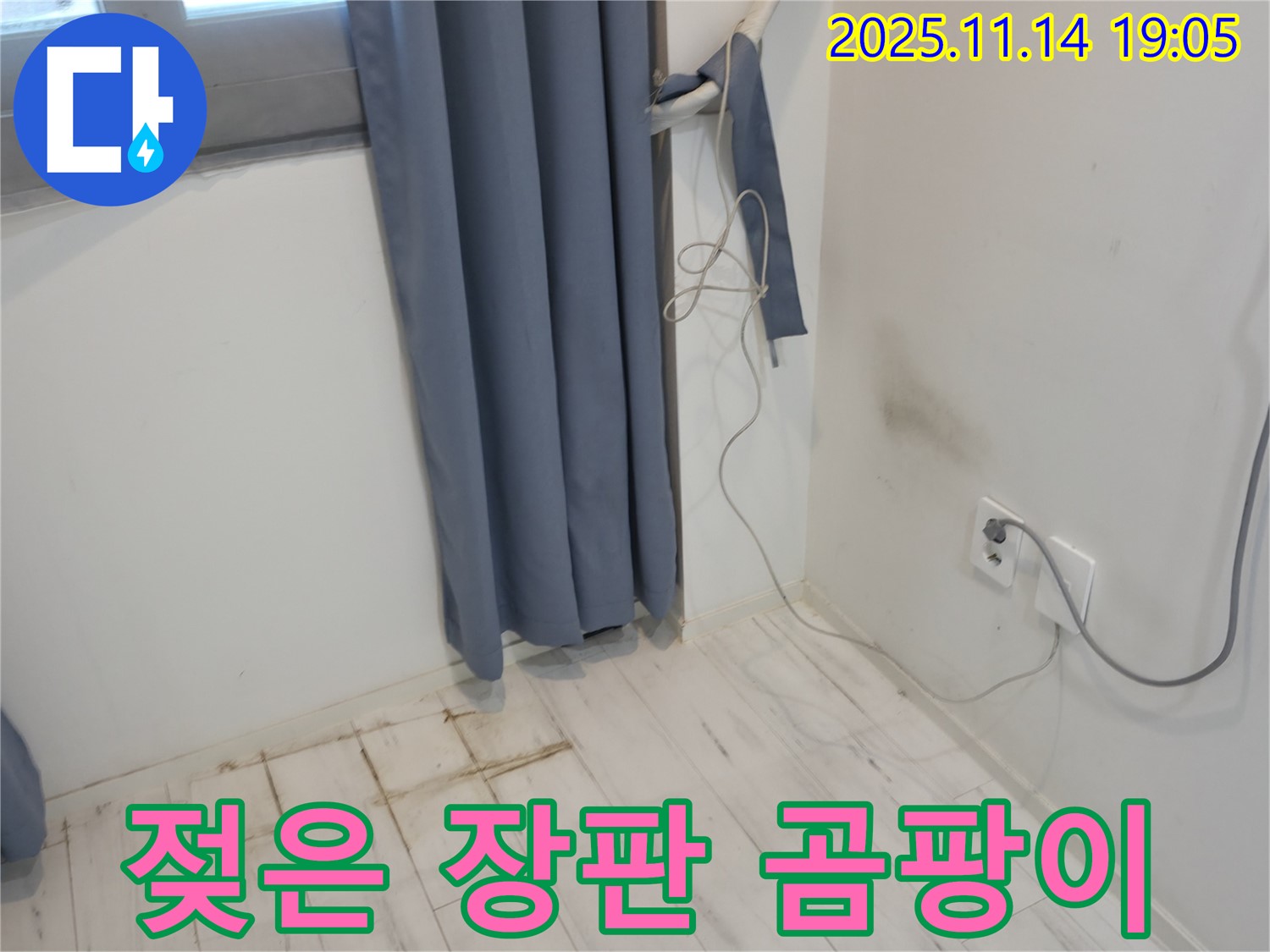 신림동 누수 - 젖은 장판과 벽 모서리 곰팡이 - 누수 초기 발견