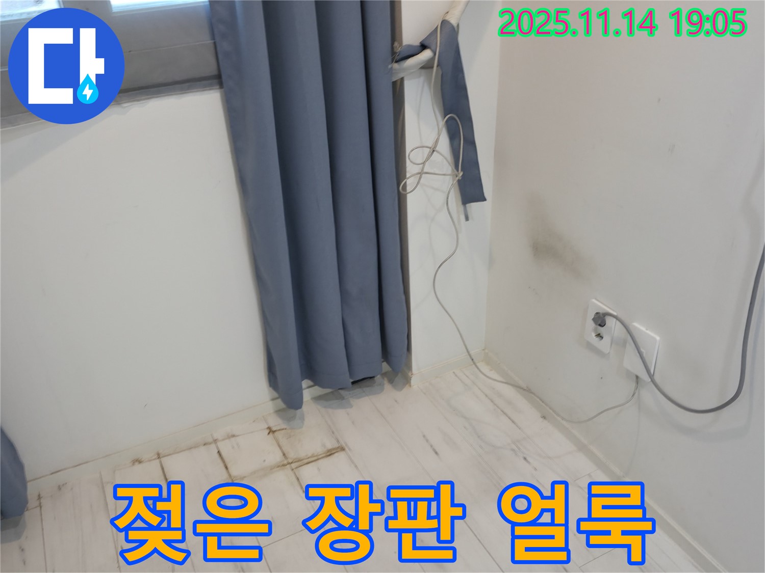 신림동 누수 - 젖은 장판과 벽 모서리 얼룩 - 누수 초기 발견