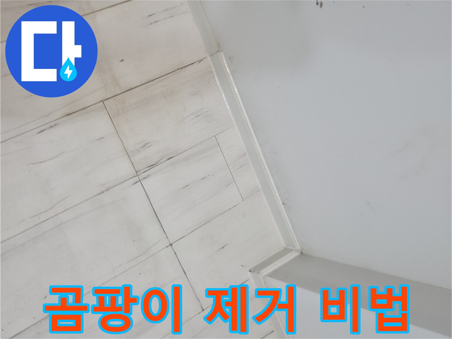 신림동 빌라 마루 곰팡이 누수 해결 작업