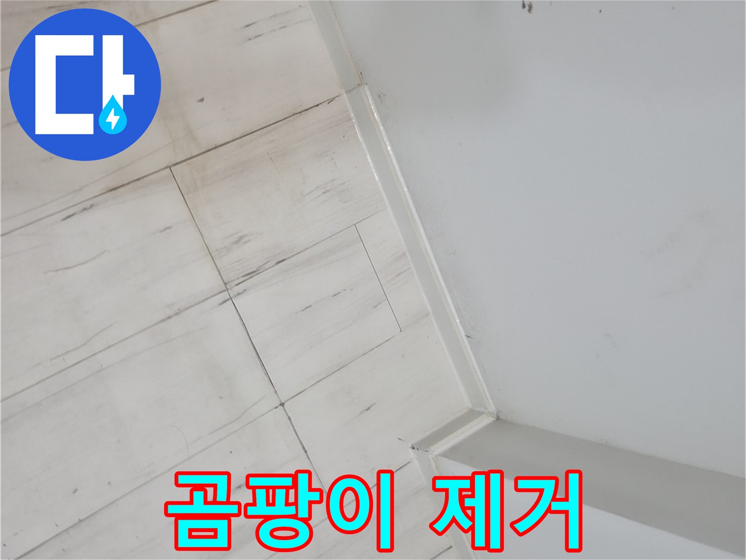 신림동 장판 틈새 곰팡이 누수 안전 위협 예방