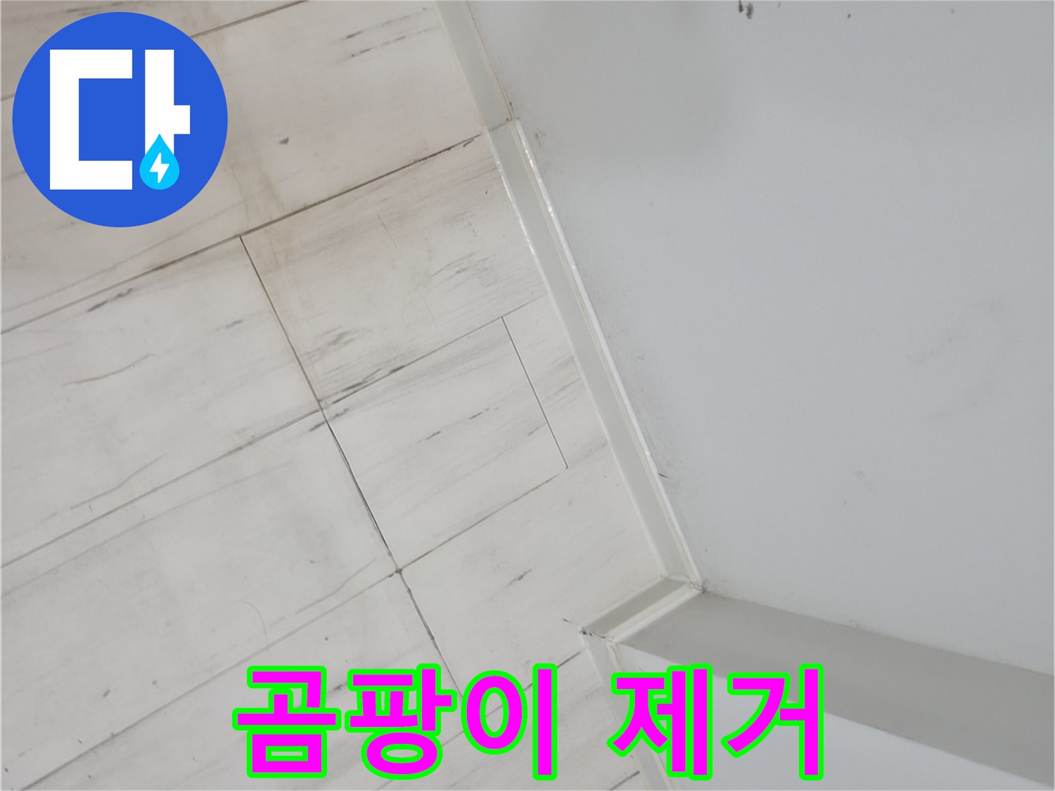 신림동 장판 틈새 곰팡이 누수 완벽 해결
