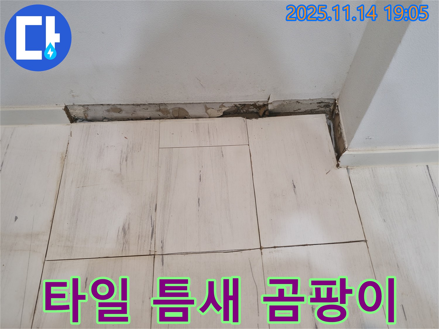 타일 틈새 곰팡이 - 건강 위협