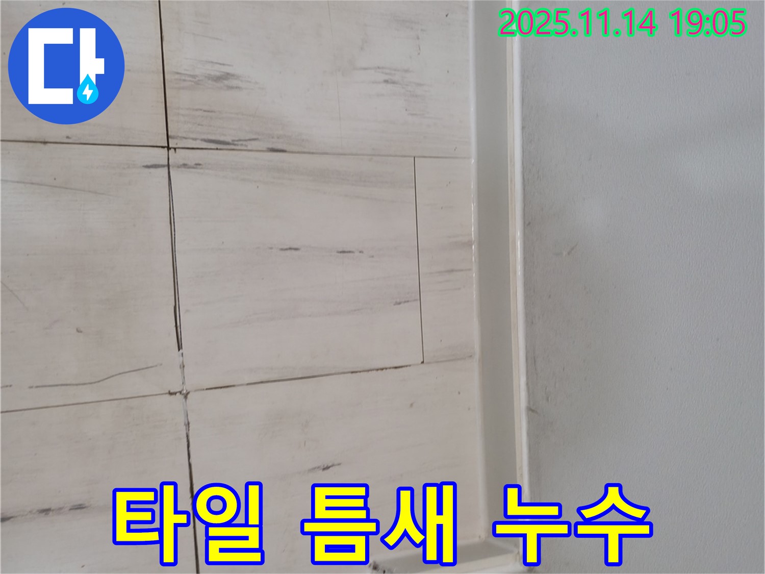 타일 틈새 - 습기와 곰팡이의 온상
