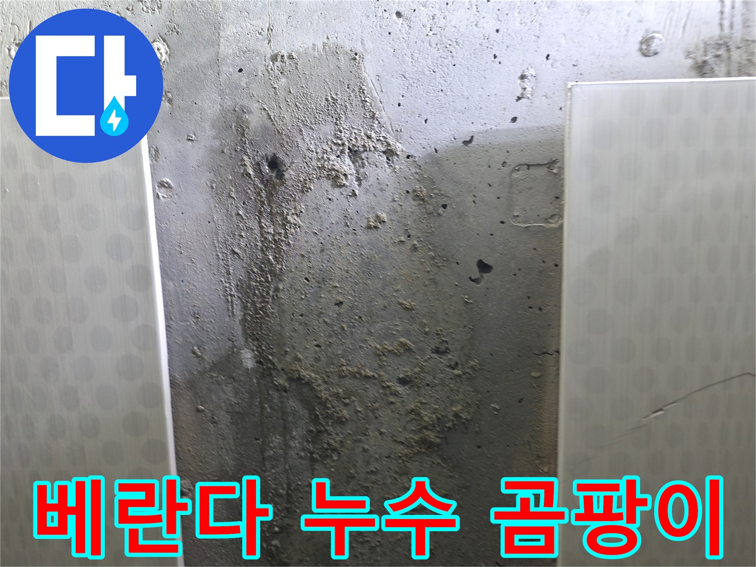 성북구 00동 베란다 콘크리트 벽 누수 - 곰팡이 제거 및 방수 시공으로 쾌적한 공간으로