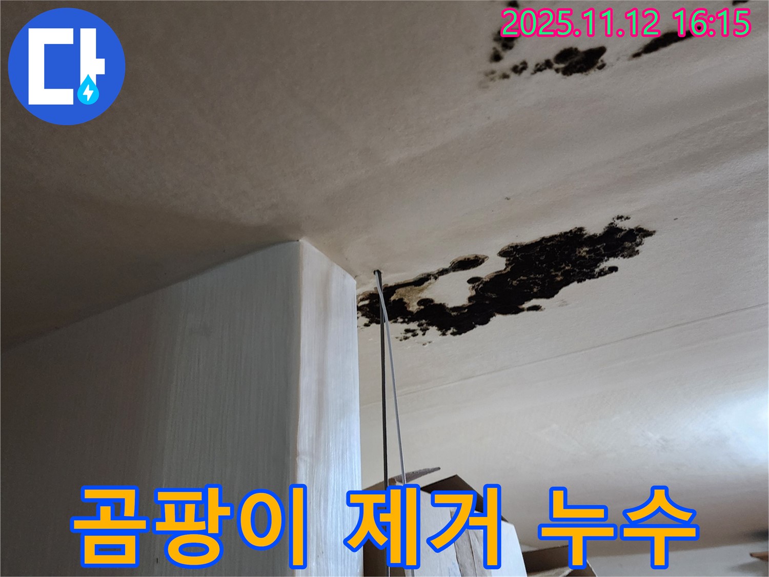 곰팡이 제거 - 누수 해결 - 군내면 누수 전문가의 완벽 시공