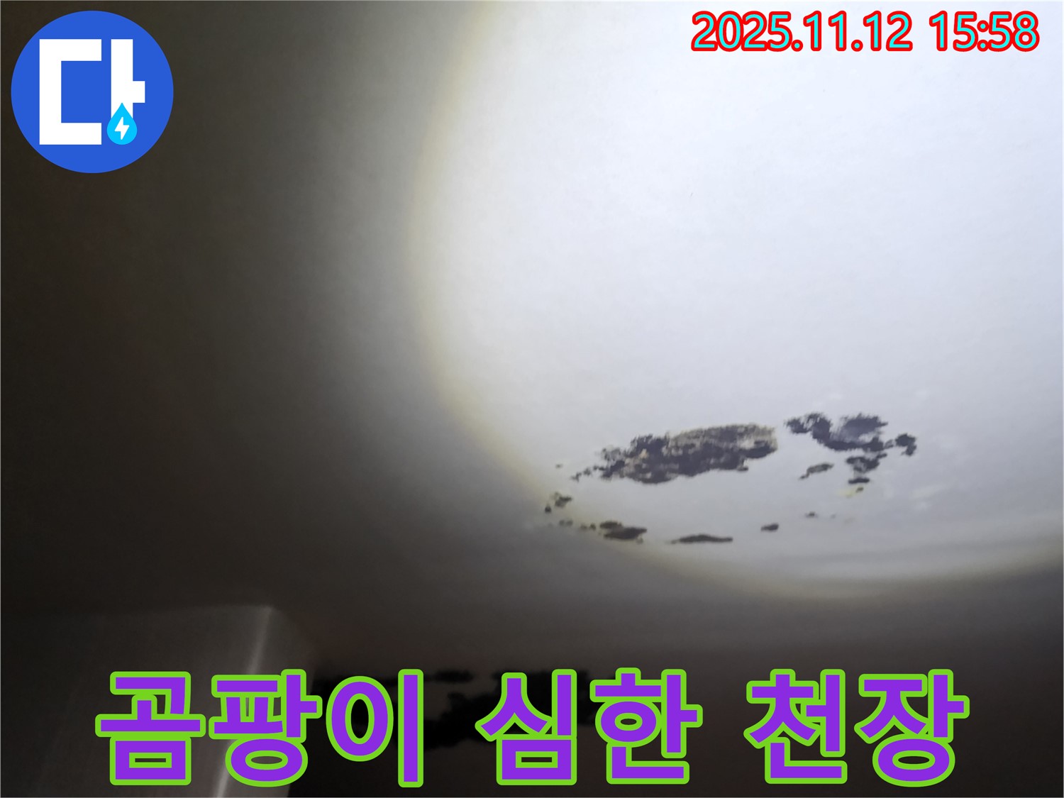 구읍리 - 곰팡이가 심하게 핀 천장 누수 현장