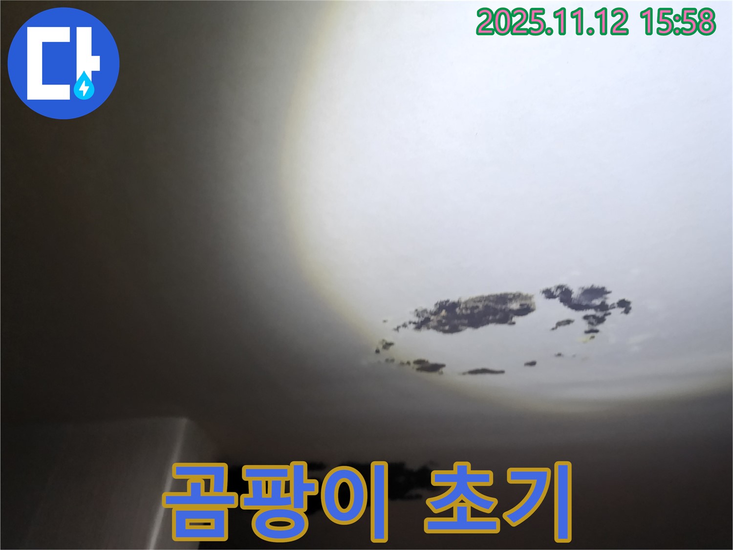 구읍리 - 곰팡이가 초기 발생한 천장 누수 현장