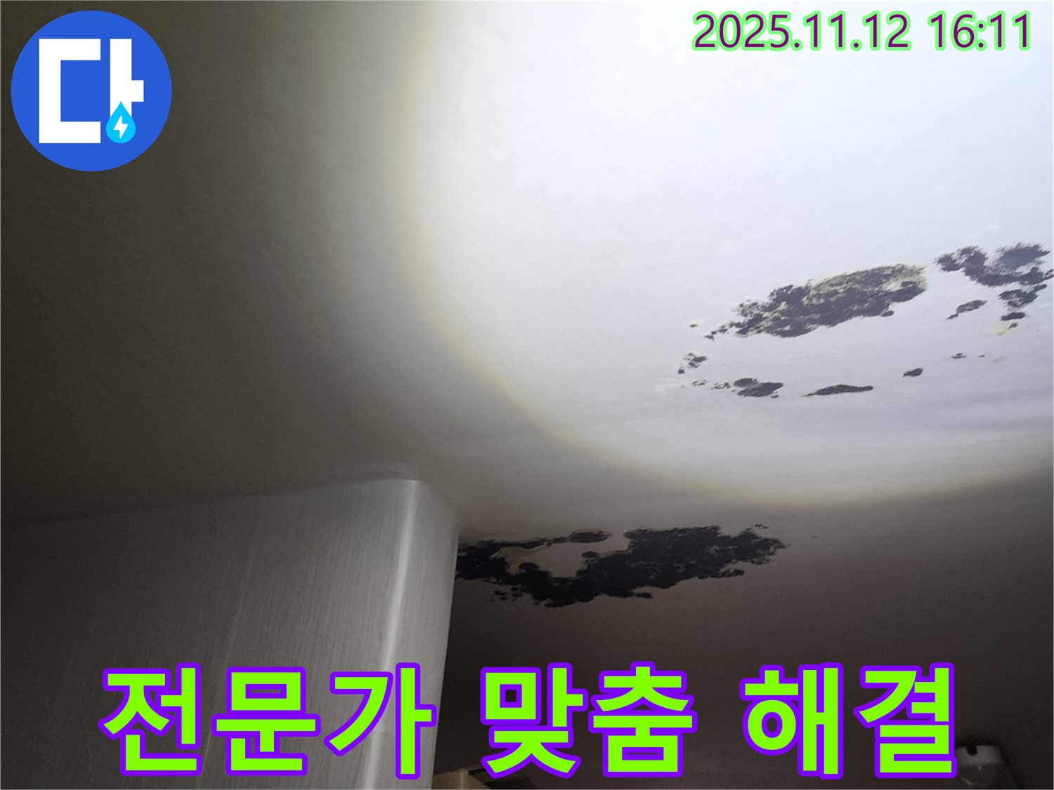 구읍리 누수 - 곰팡이 & 누수, 전문가 맞춤 해결