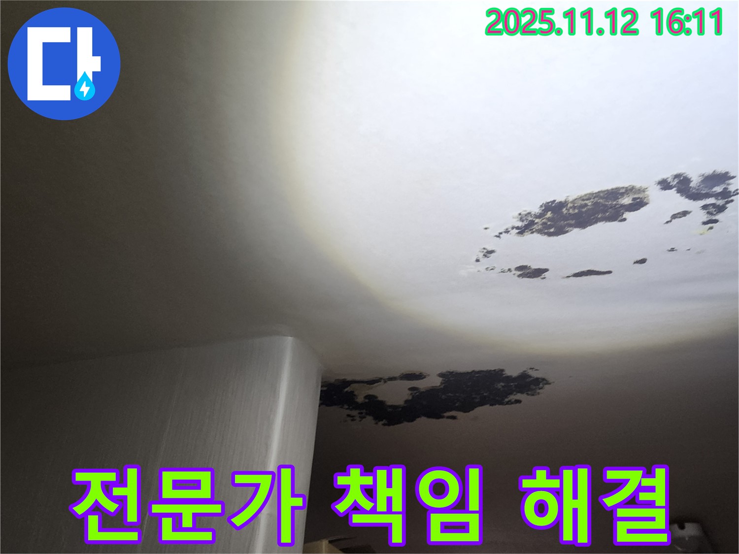 구읍리 누수 - 곰팡이 & 누수, 전문가 책임 해결