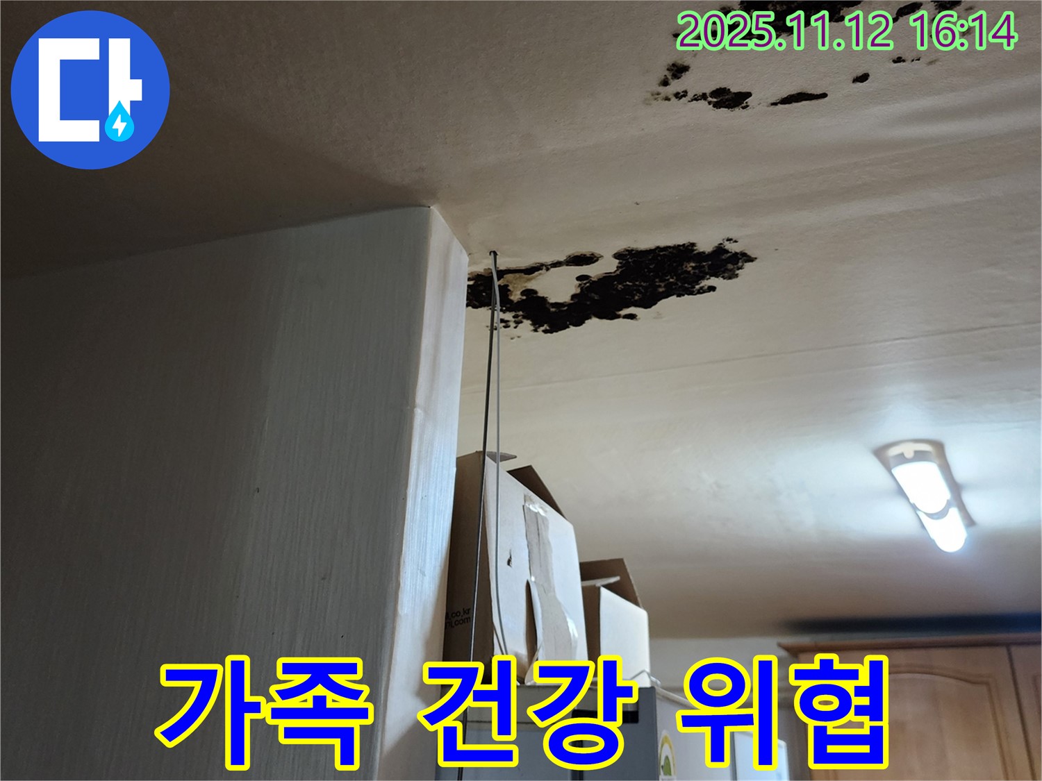 구읍리 누수 - 천장 곰팡이, 악취, 가족 건강 위협