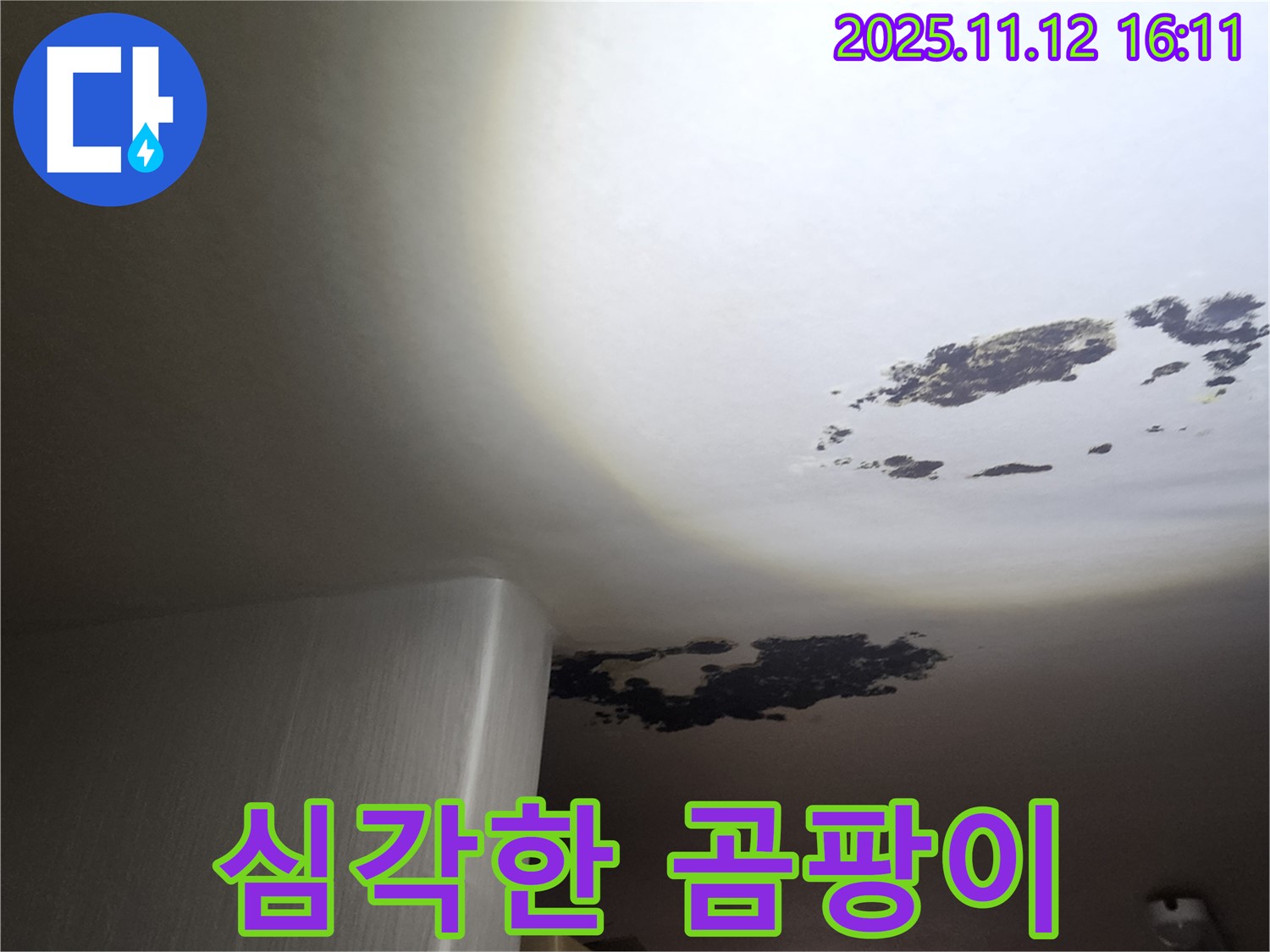 구읍리 누수 - 천장 전체를 뒤덮은 심각한 곰팡이