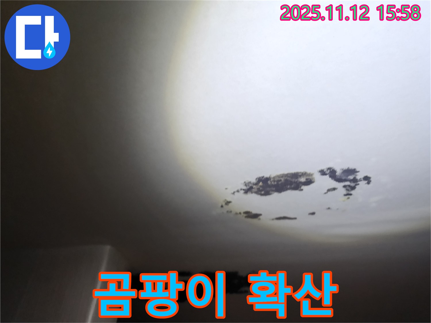 군내면 - 곰팡이가 넓게 퍼진 천장 누수 현장