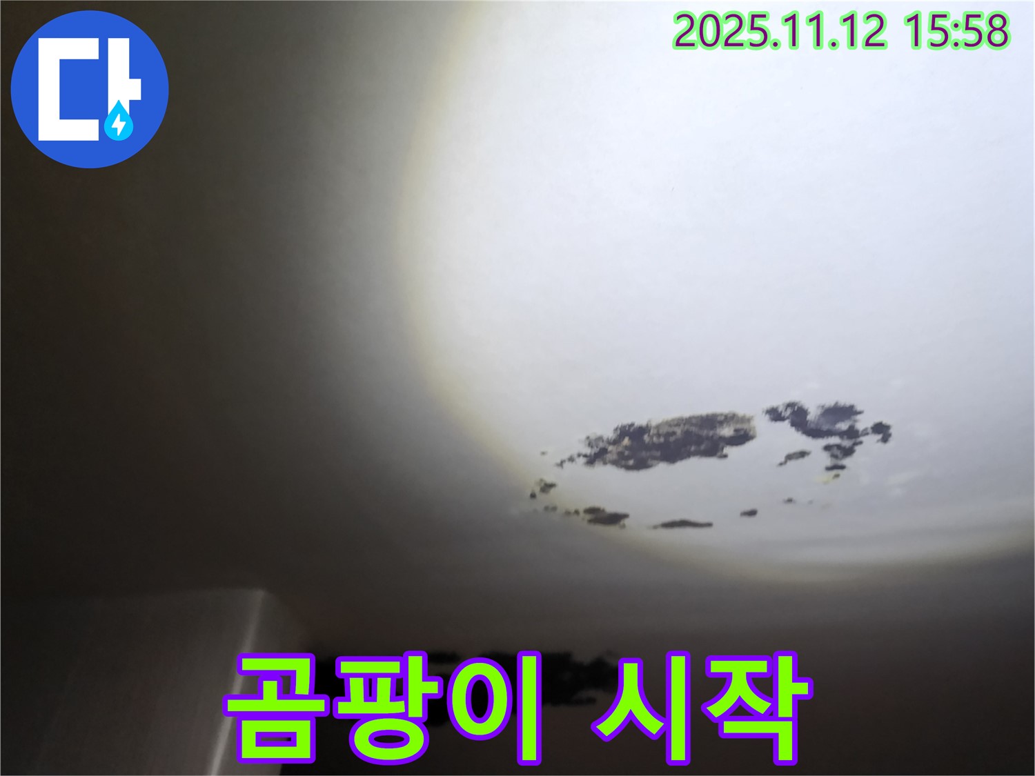 군내면 - 곰팡이가 시작된 천장 누수 현장