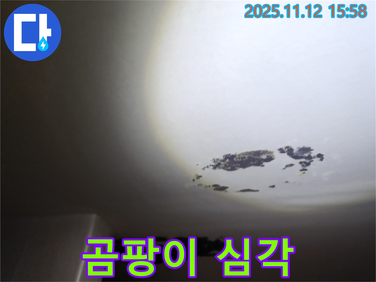 군내면 - 곰팡이가 심하게 핀 천장 누수 현장