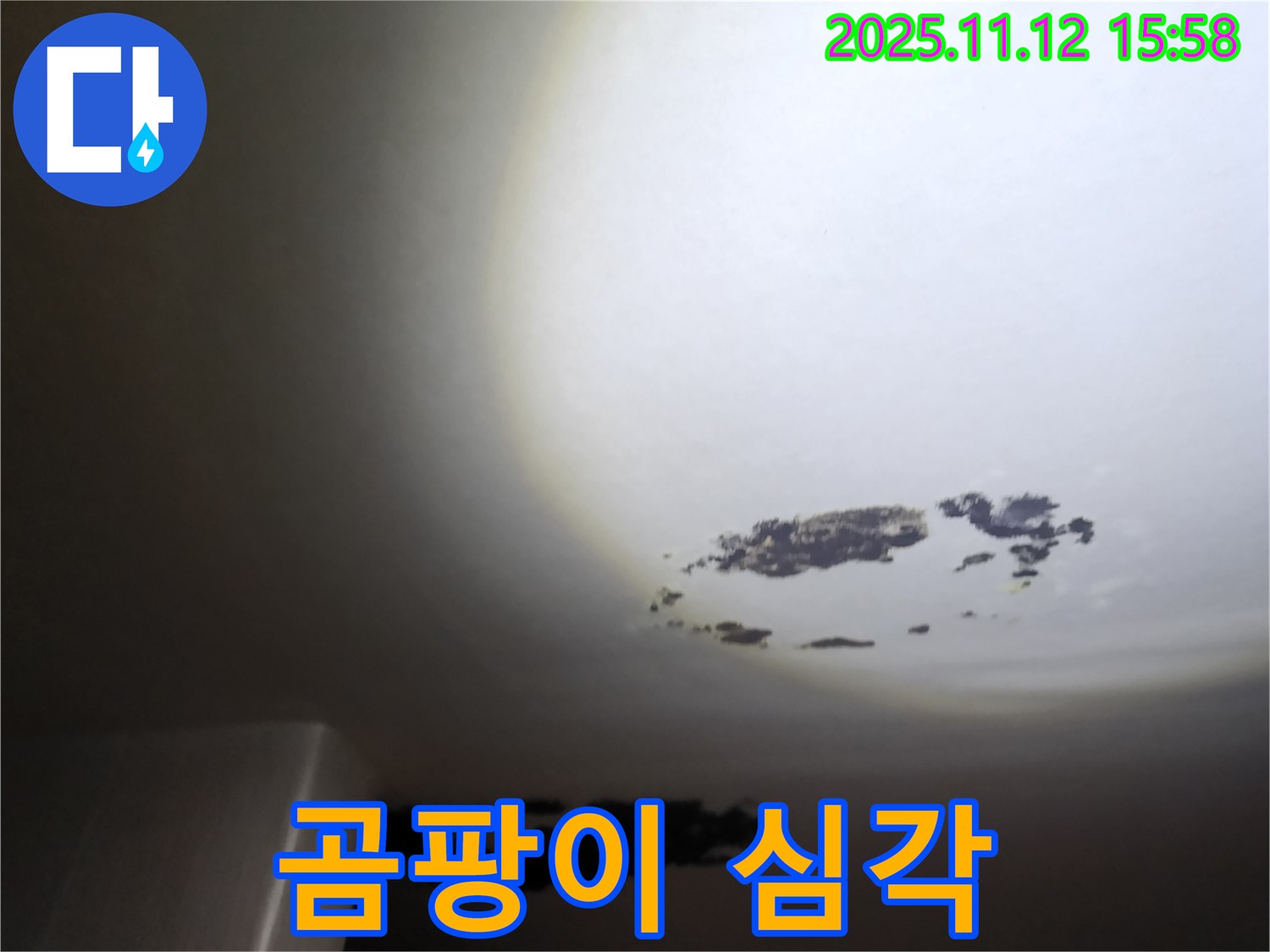 군내면 - 곰팡이가 심하게 핀 천장 누수 현장